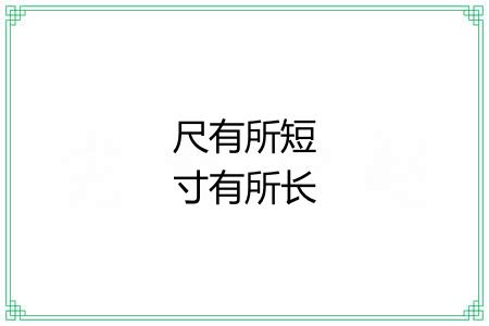 尺有所短寸有所长